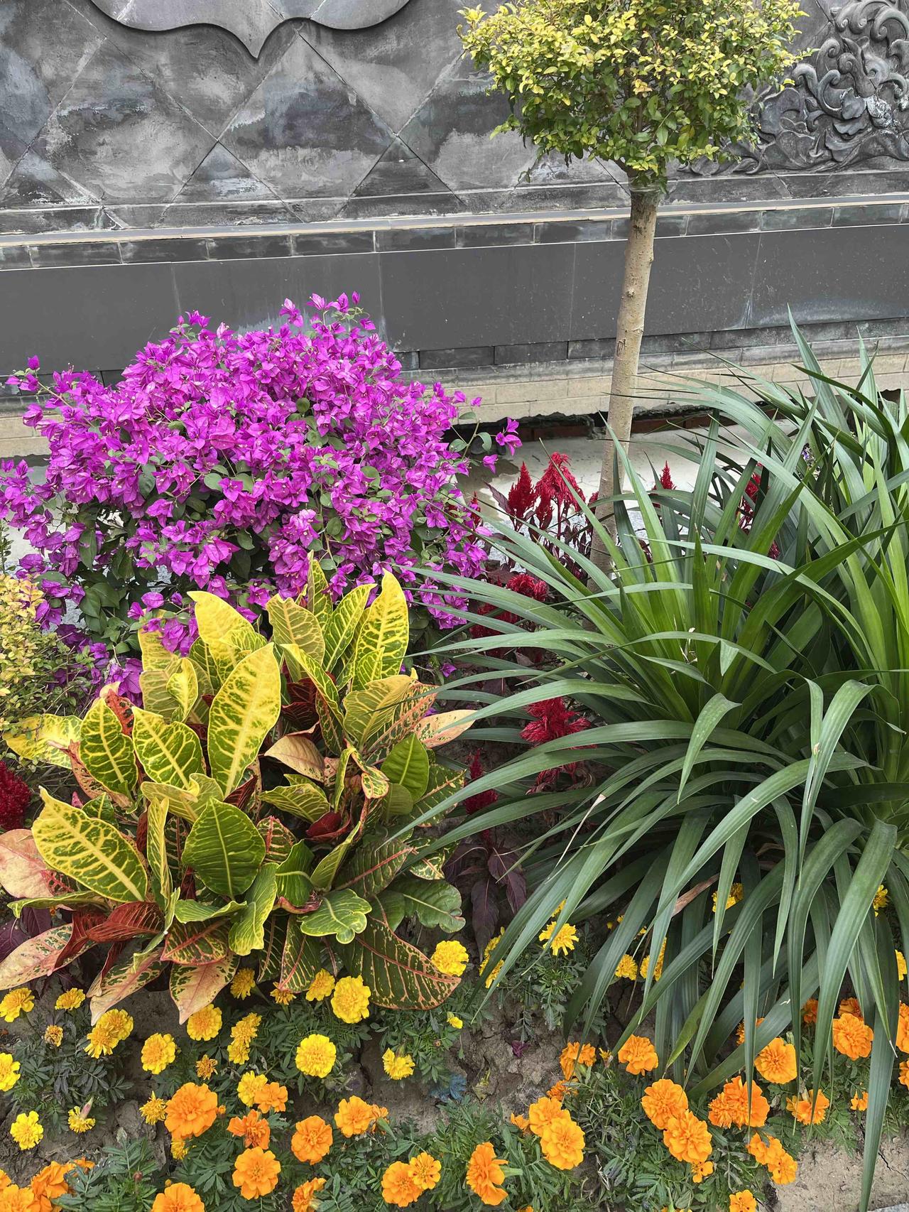 临近年关，北京二手房网签量接连破“七”过“八”，成交量放大已成事实，以此可否推断