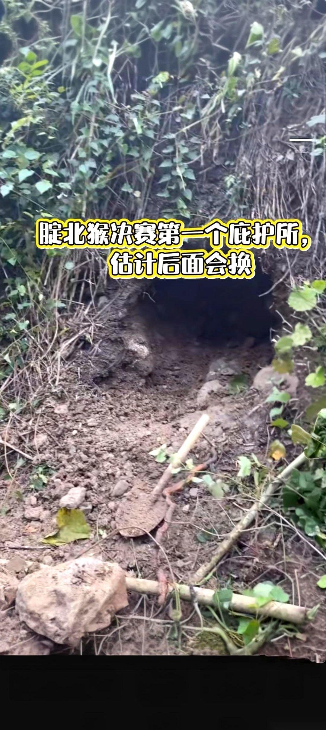 刷到个视频，给我看愣了。一个大学生，居然在山里给自己挖了个“家”。就一个土洞