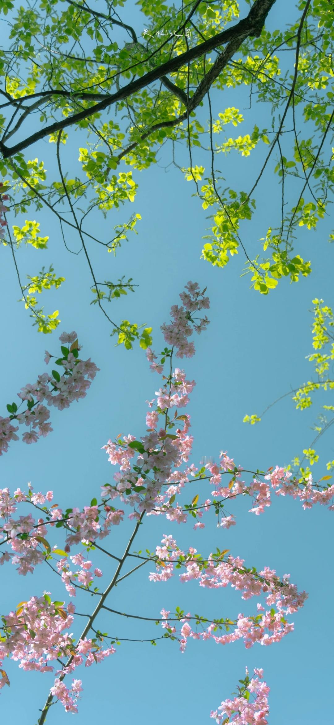 一生都学不完的处世心机1.学会装傻：不要处处显得比别人聪明，聪明过头就是愚蠢