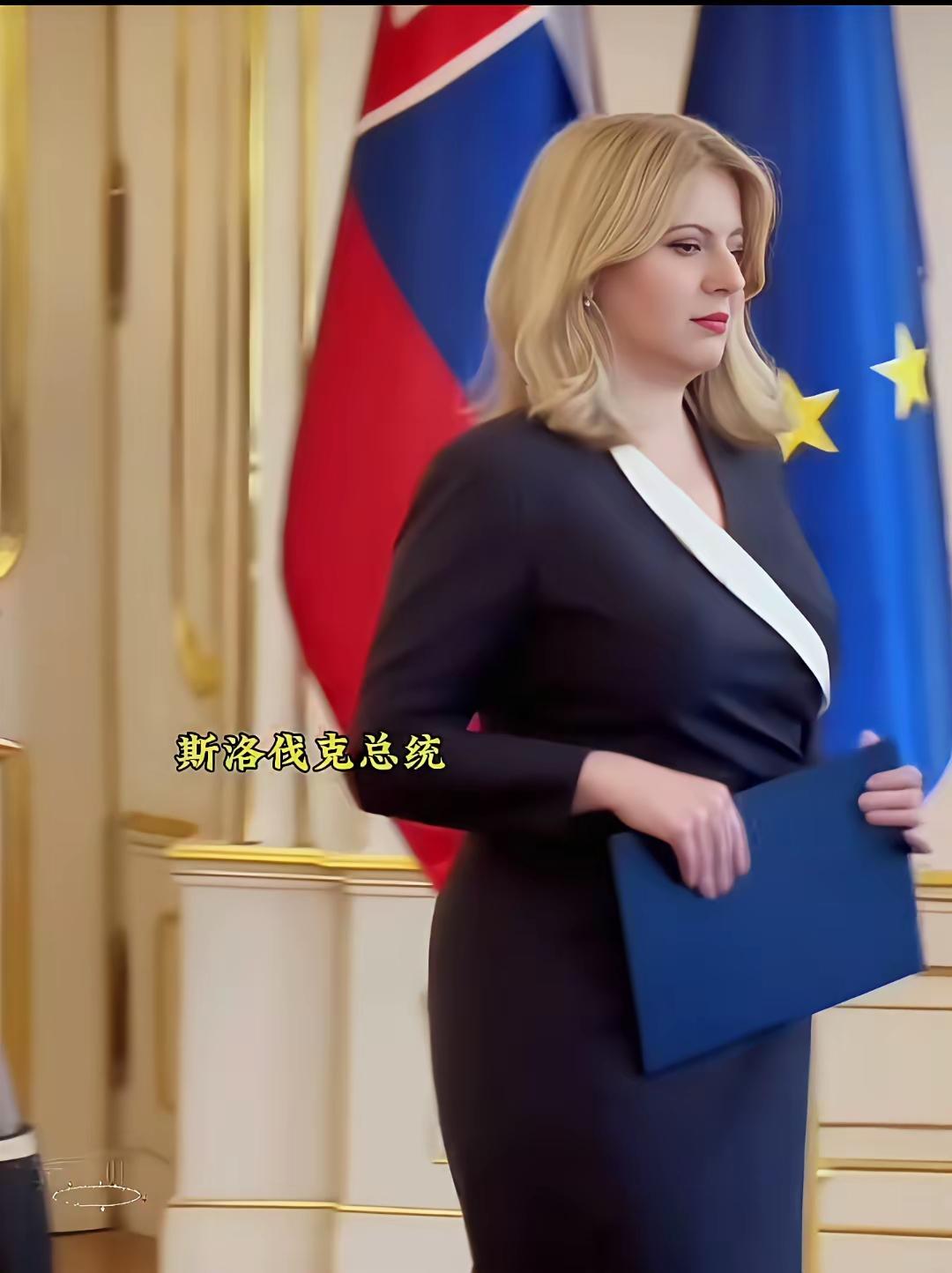 又来一个女总统，为了她，我可以委身作总统丈夫[捂脸哭]