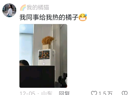 橘子：我做错了什么