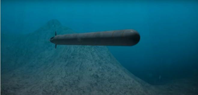 美国前情报官员里特指出，美军现有反导系统无法有效拦截俄罗斯海燕巡航导弹。该导弹具