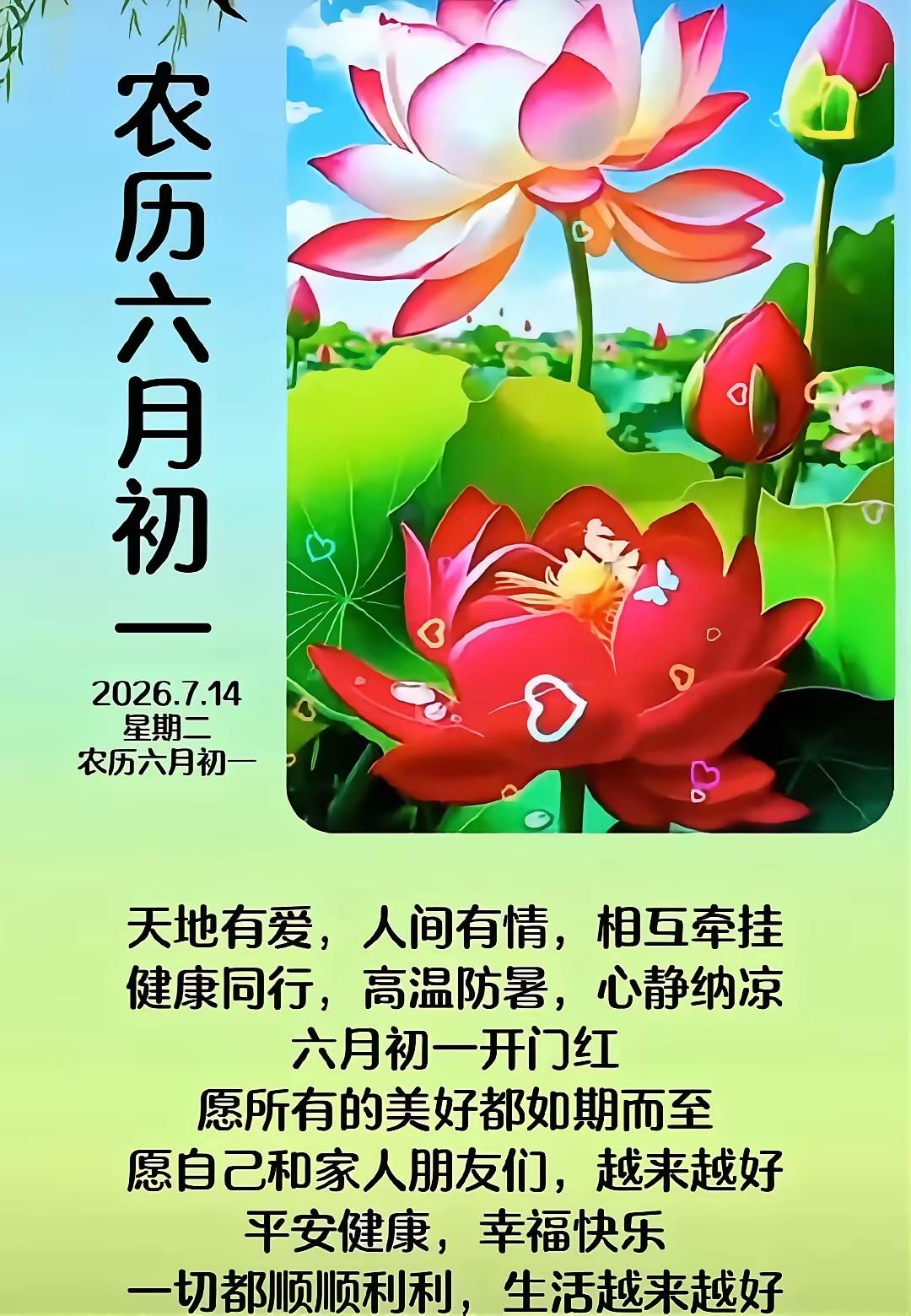 7.14农历六月初一，初伏早上好[比心]愿