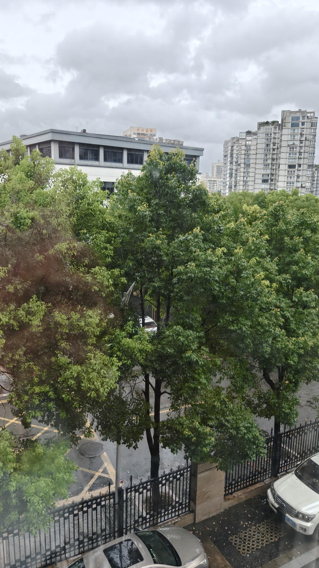 婚姻的背叛，本就毫无道理可讲。我有个朋友，容貌姣好、心地善良，还有一份体面的工作