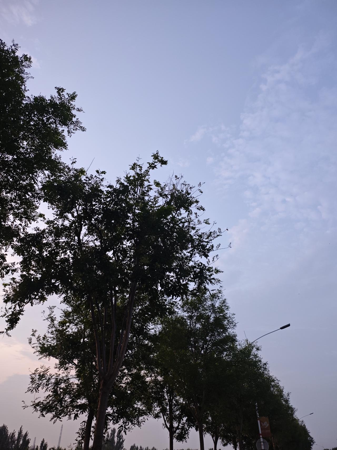 招蚊体质是什么概念？暑假回老家就像渡劫。[捂脸哭]我是O型血，儿子是B型血，我们
