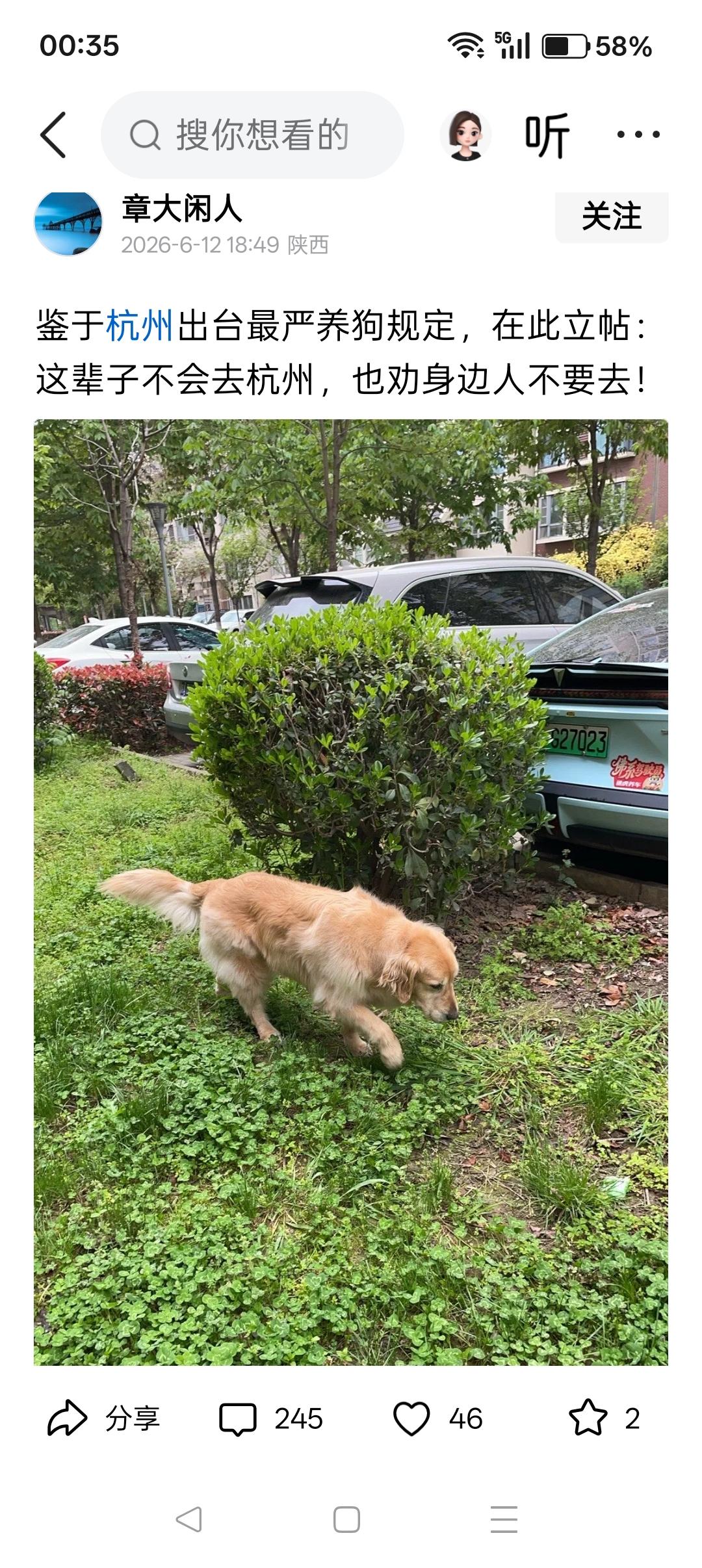 由于杭州出台最严养狗规定，有猫狗分子赶紧跳出来高喊——“这辈子不会去杭州，也劝身