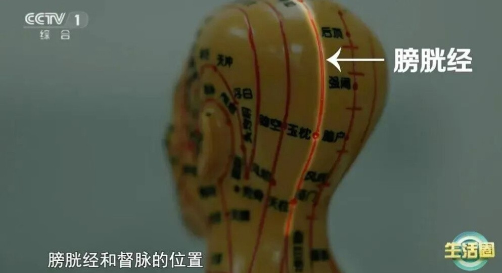 白发长哪里，病就藏哪里！中医揭秘头发颜色背后的健康密码