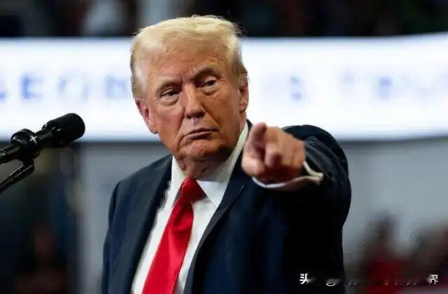 泽连斯基这次去海湖庄园见美国总统，估计是去挨训了。其实在此之前，美国总统已经对泽