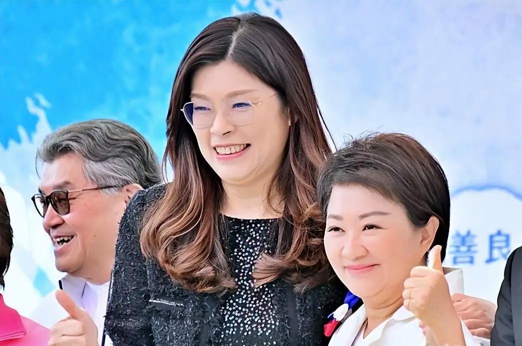 你有张良计，我有过墙梯7月25日国民党全代会前夕，大批党代表抛出提案：要求20