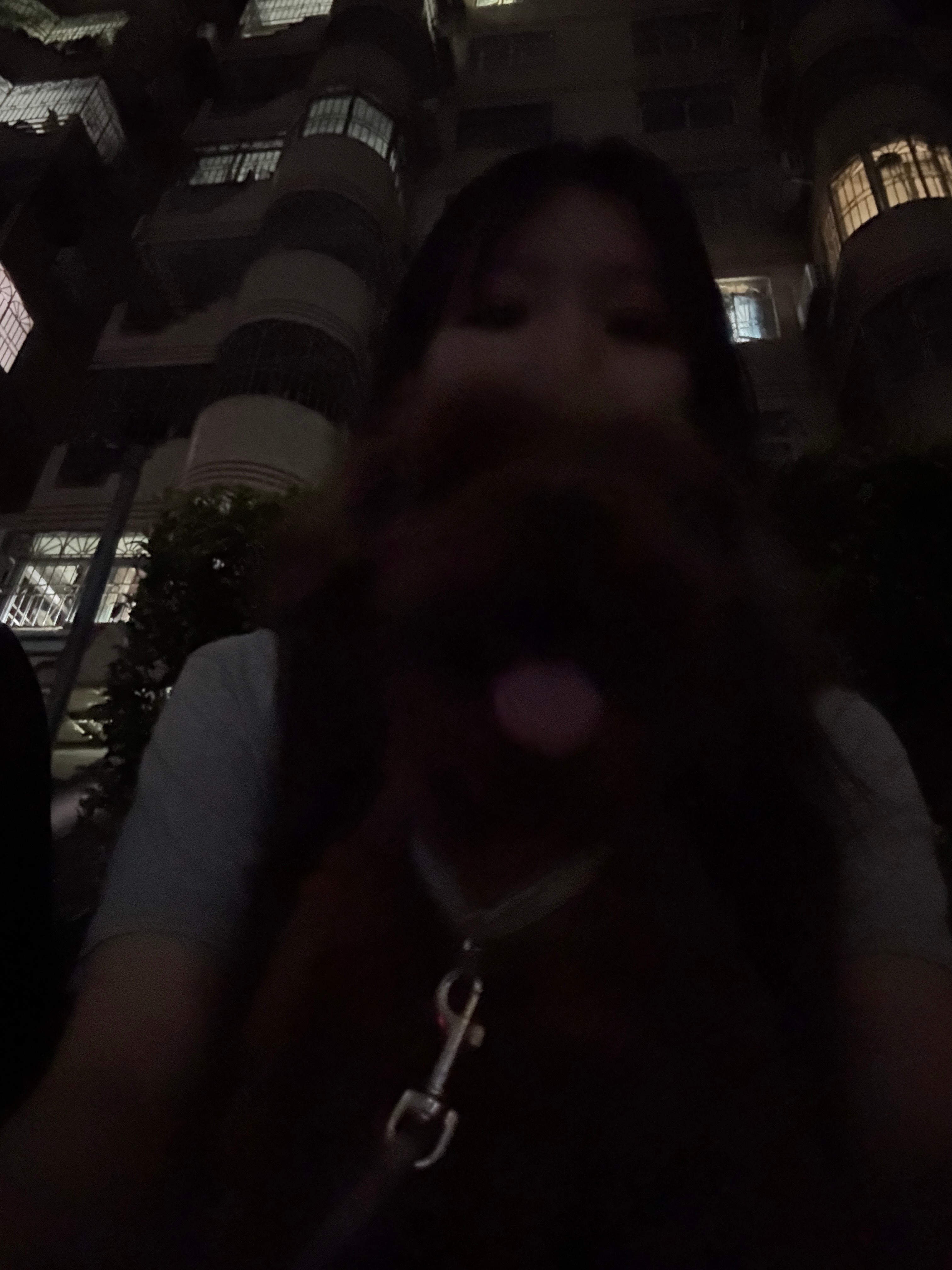 溜了小狗狗​​​