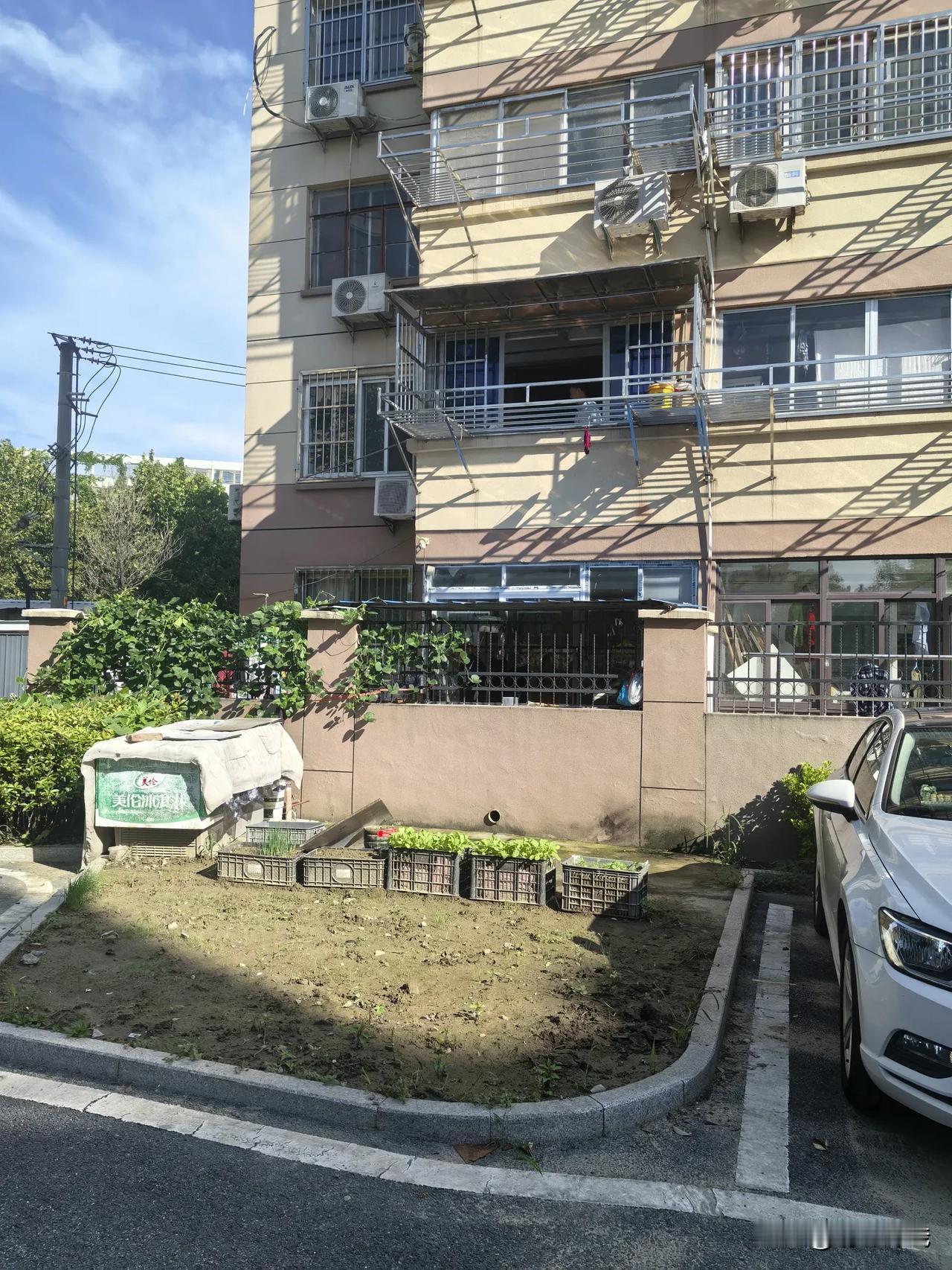 人太厉害了屋前屋后草都不生前两年我们小区搞整改，投资了近亿元把小区改造的光鲜