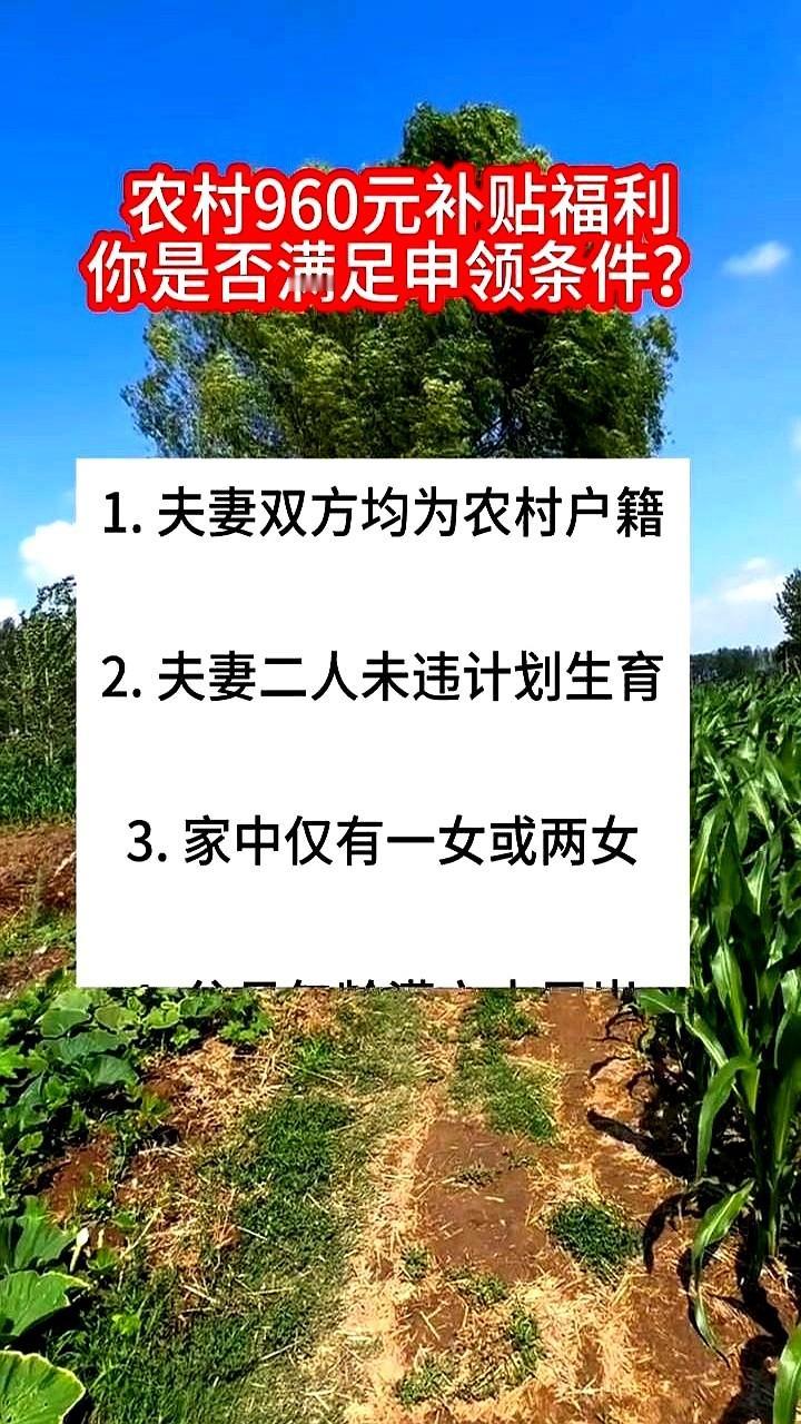 农村父母养老负担重？2025年新规落地，农村户籍家庭年满60岁父母，满足条件