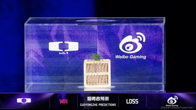 巴黎人集合! 刘神妮蔻完美发挥 许哥妖姬蠕动 WBG首局碾压DK