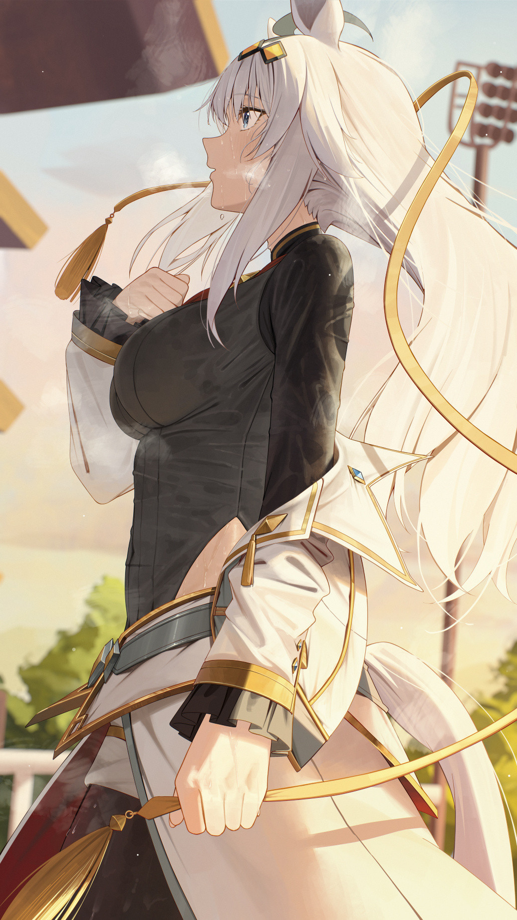 动漫画师NingenGokko24