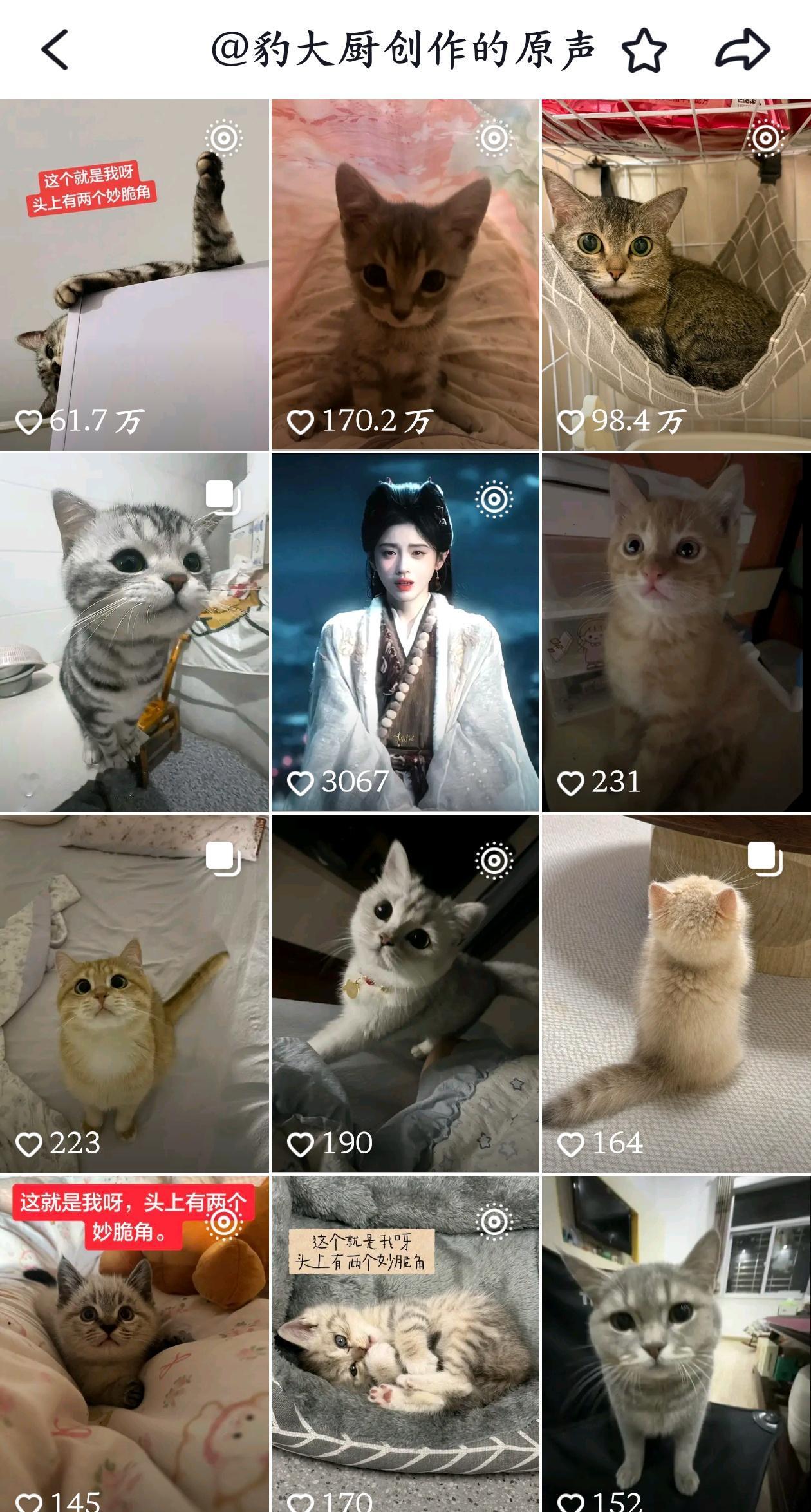 众多咪里出现了个鞠​​​