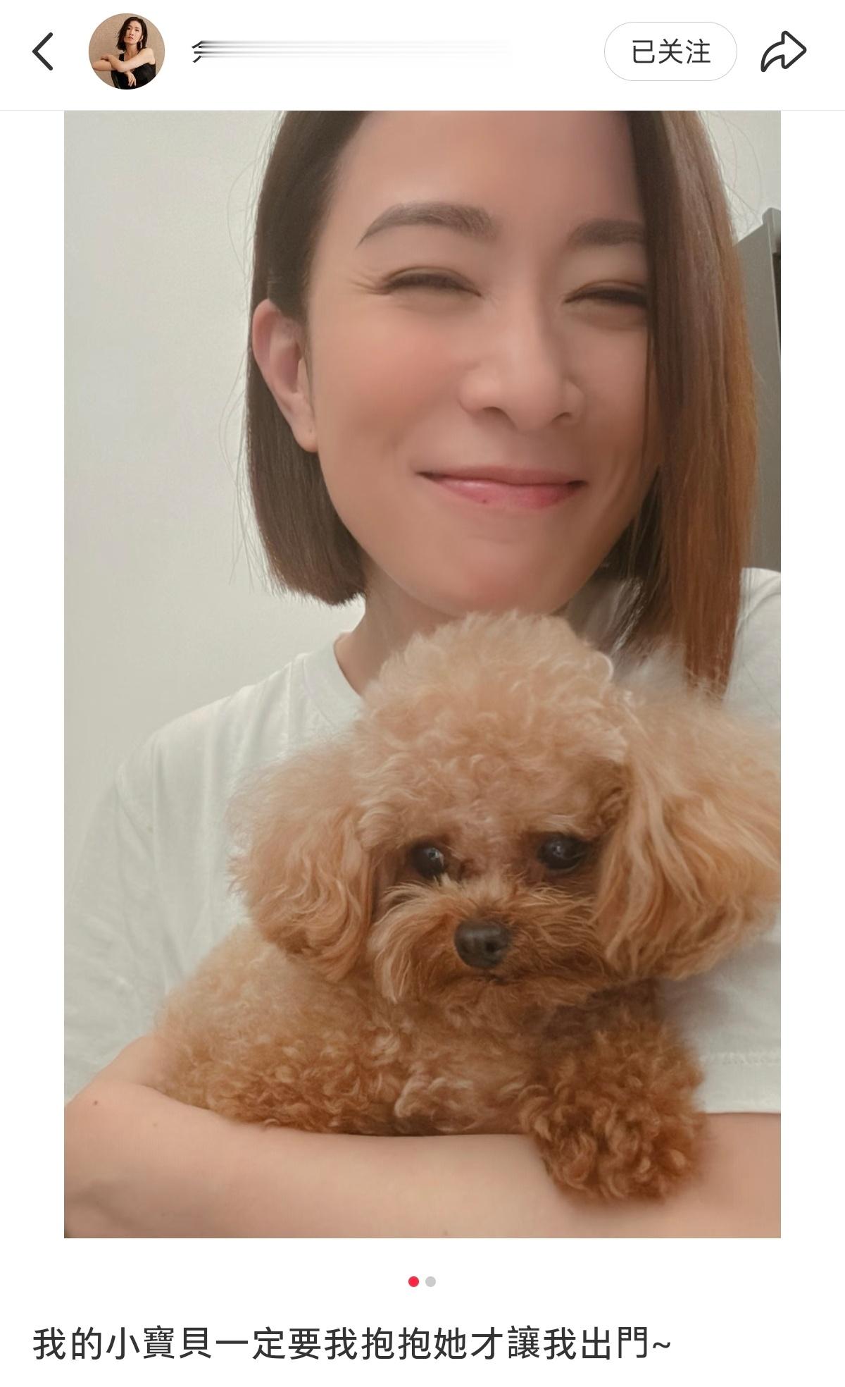 佘诗曼养的小泰迪，很爱撒娇的小狗​​​