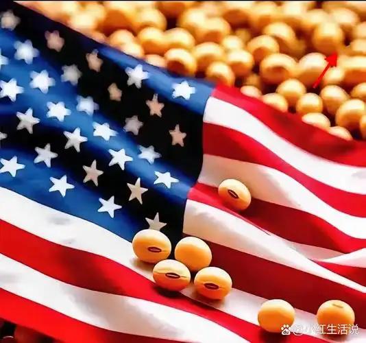 美国大豆为什么非要卖给中国？其实，站在美国的角度，三年不卖给中国大豆，扩大国内内