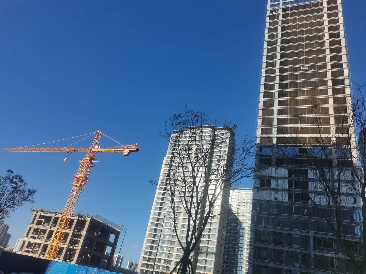 绿地428的这个W99公馆，本来是要造两幢楼的，去年年年中开始地其中的一幢续建好