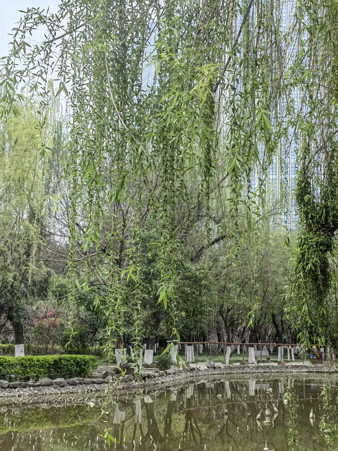 春日生活打卡季春日生活打卡季，我发现家门口就藏着春天。小区里的桃花开得正艳，粉