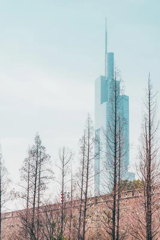 到南京跨年会成为年轻人顶流，原因可不少。南京历史文化底蕴深厚，像夫子庙、明孝陵等