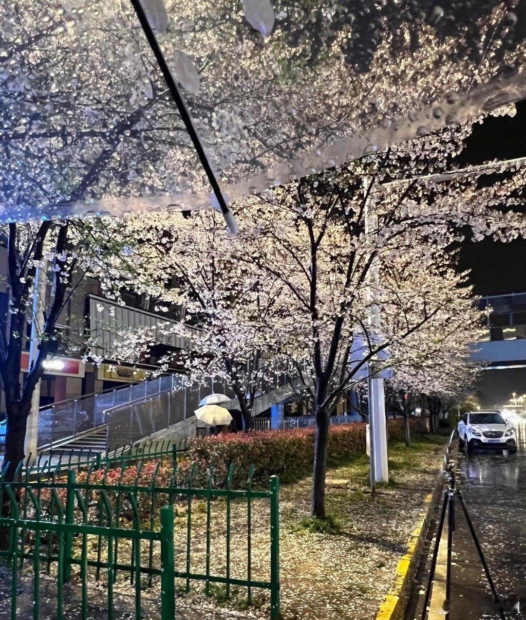 别让情绪主导交易。有些股民，见这只涨就追，见那只跌就割，哪个概念火就冲，这不是投