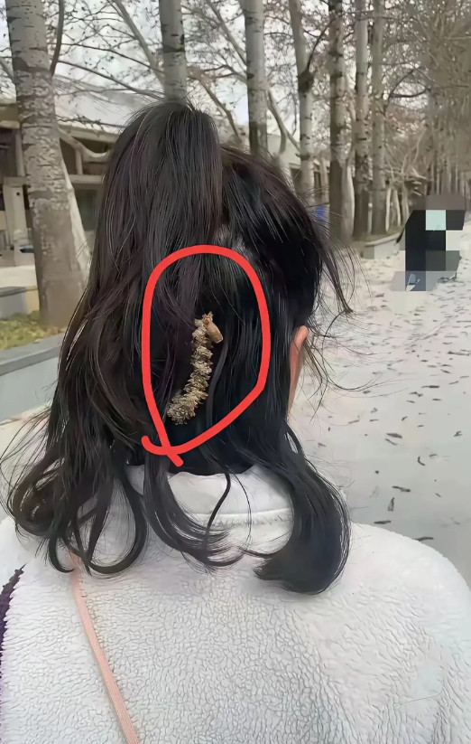 起了一身的鸡皮疙瘩！！！