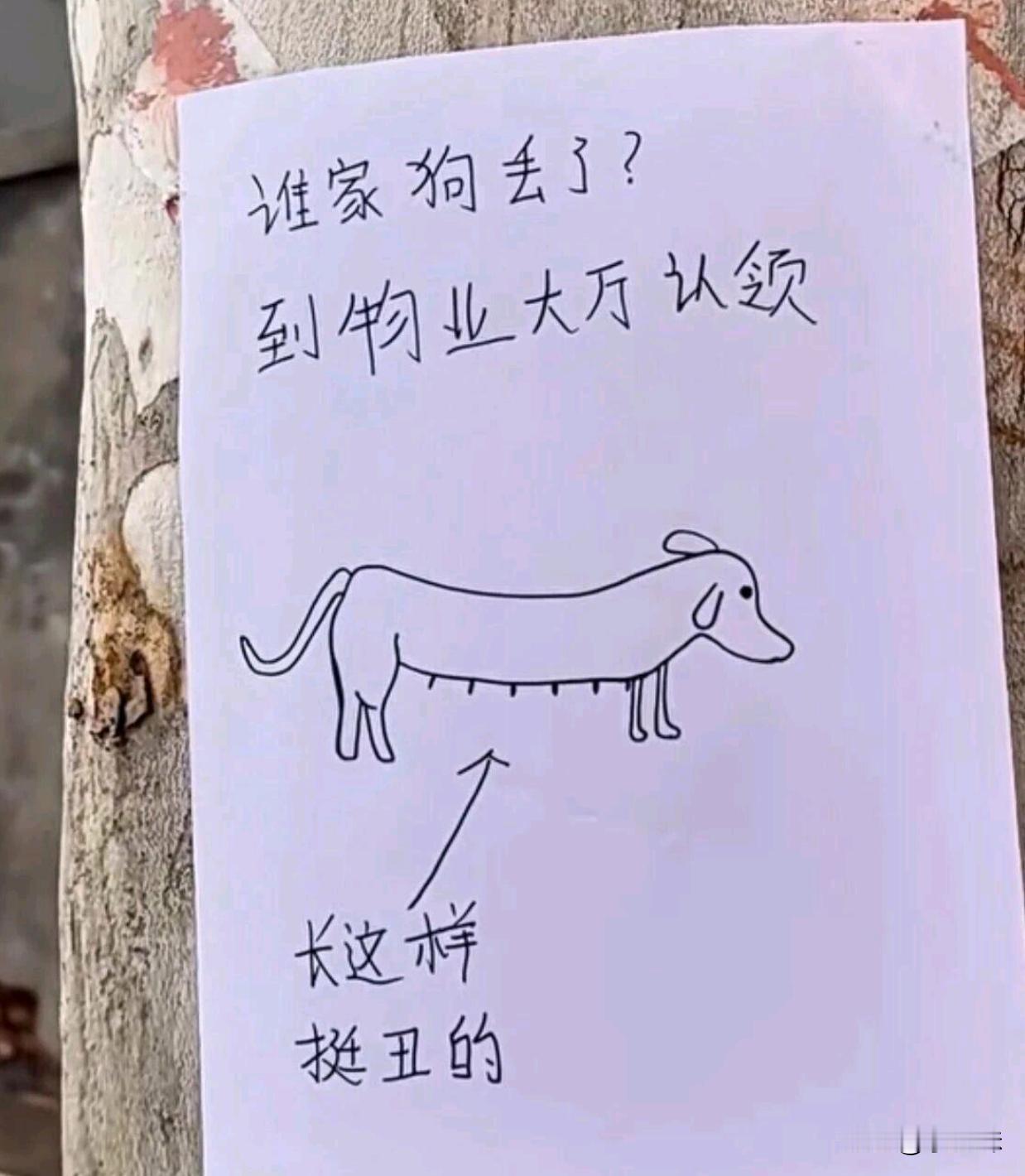 以为是抽象画，没想到是写实