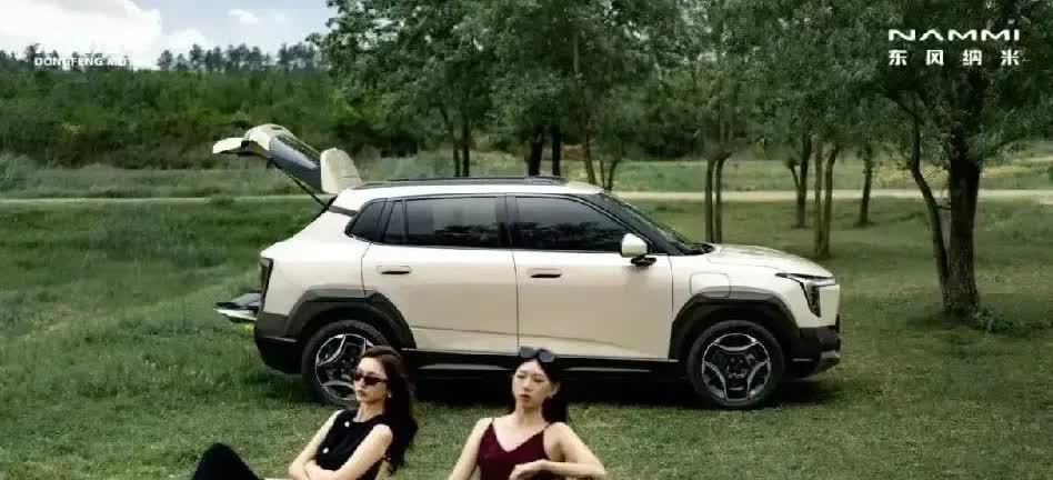新能源车企六年后可能只剩7家：哪7家：1、比亚迪：留下，国内第一，销量和