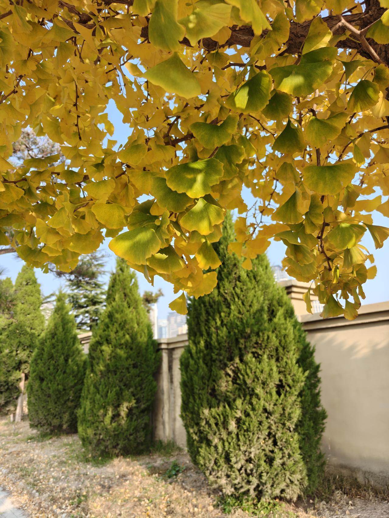 机构改革是每一年都落不下的话题，如何改？莫衷一是，还是听上级安排。其中，最广泛又