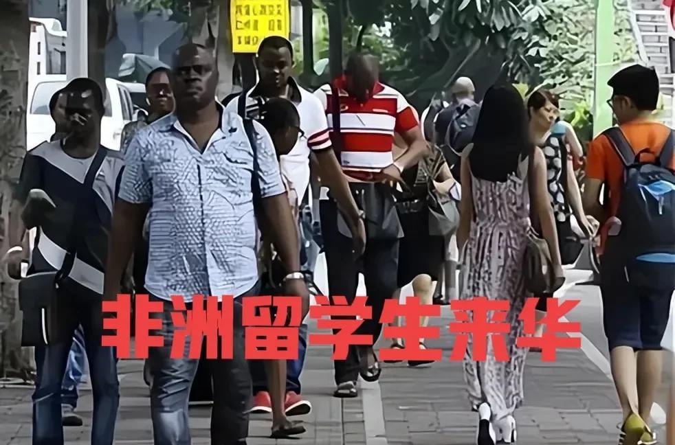 欧洲从非洲淘金，美洲从非洲抓奴隶，中国从非洲找留学生。非洲人的学习能力值得怀疑