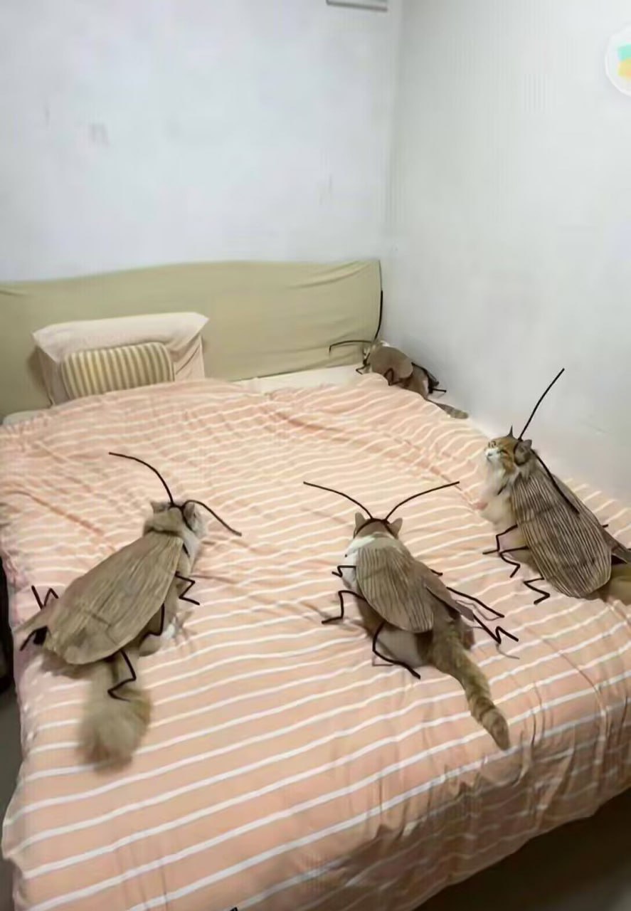 分享图片​​​
