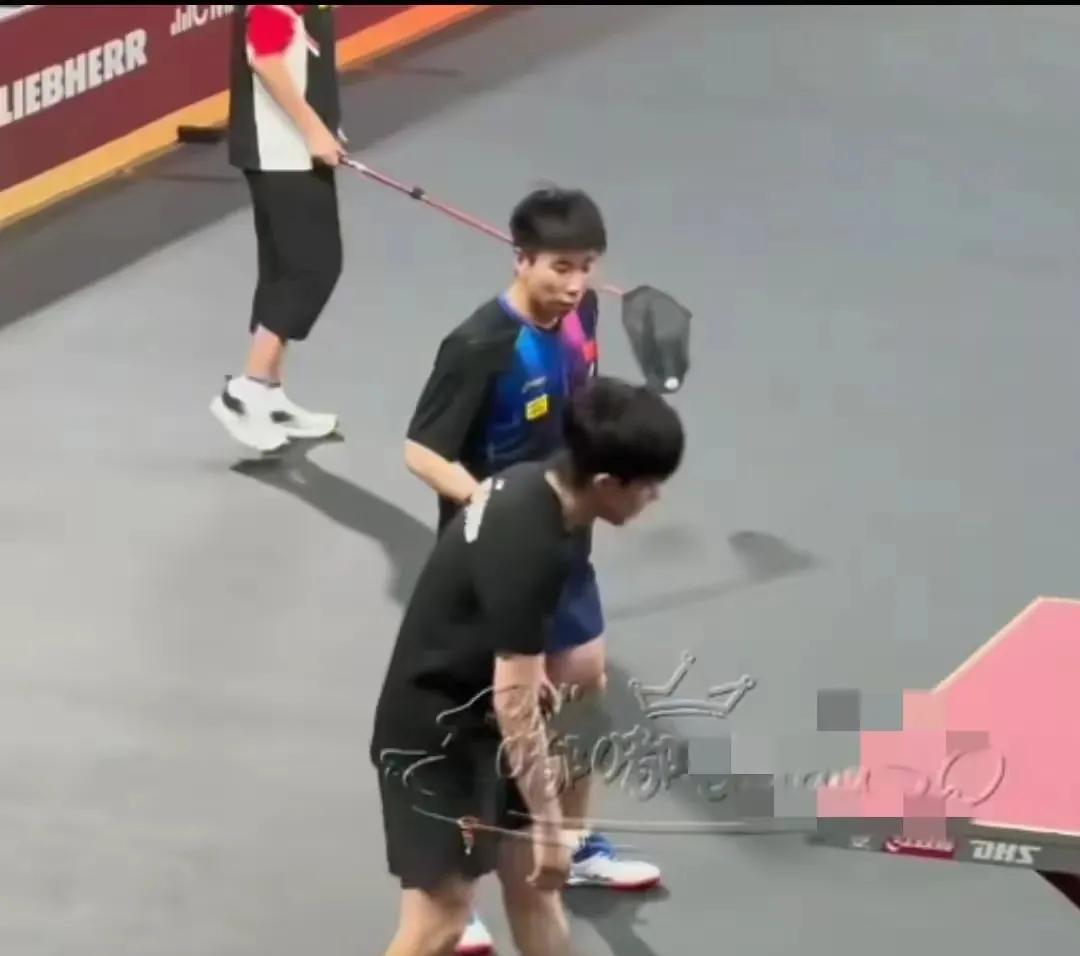 注重集体不突出个人，是有针对性目标性的，只针对王楚钦吧？巴黎奥运会兼项，混双，