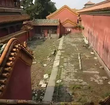 故宫也有荒凉的地方，那就是有名的“冷宫”，在冷宫里，地处比较偏僻，荒无人烟，杂草