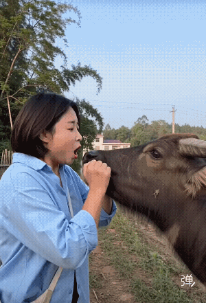 确实能吹，直接把牛吹上天了！[点赞]