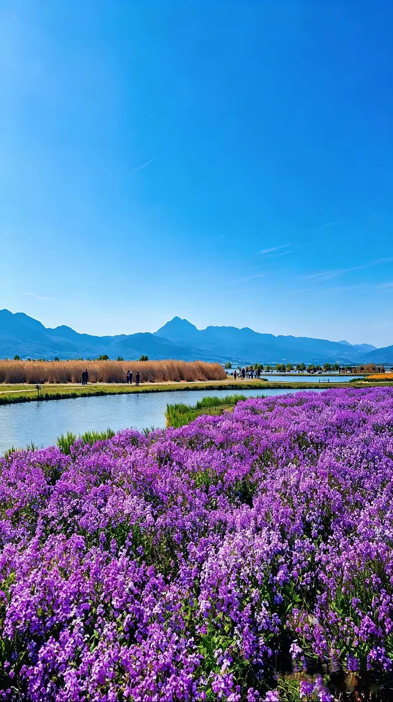 非常透彻的一段话：“如果去除掉所有的道德说教和复杂的心理学术语，直达人性的最底层