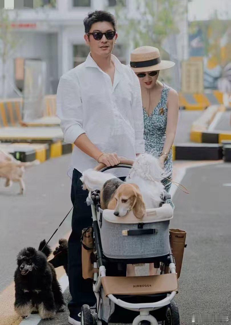 霍思燕很有趣！我朋友干了八年兽医，上次霍思燕带一车狗来体检，给我说了一句大实话，