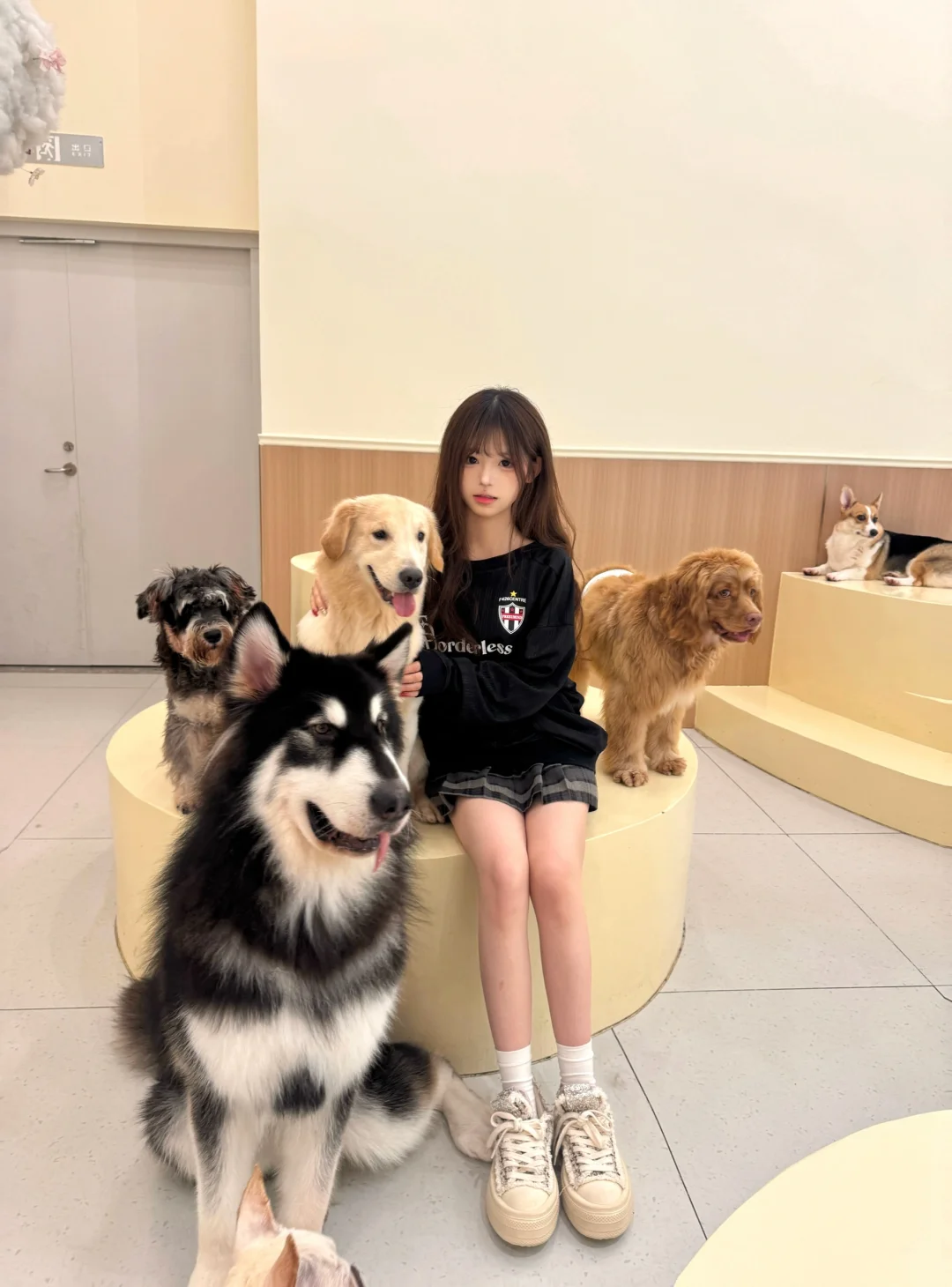 奇怪你爱小狗🐕