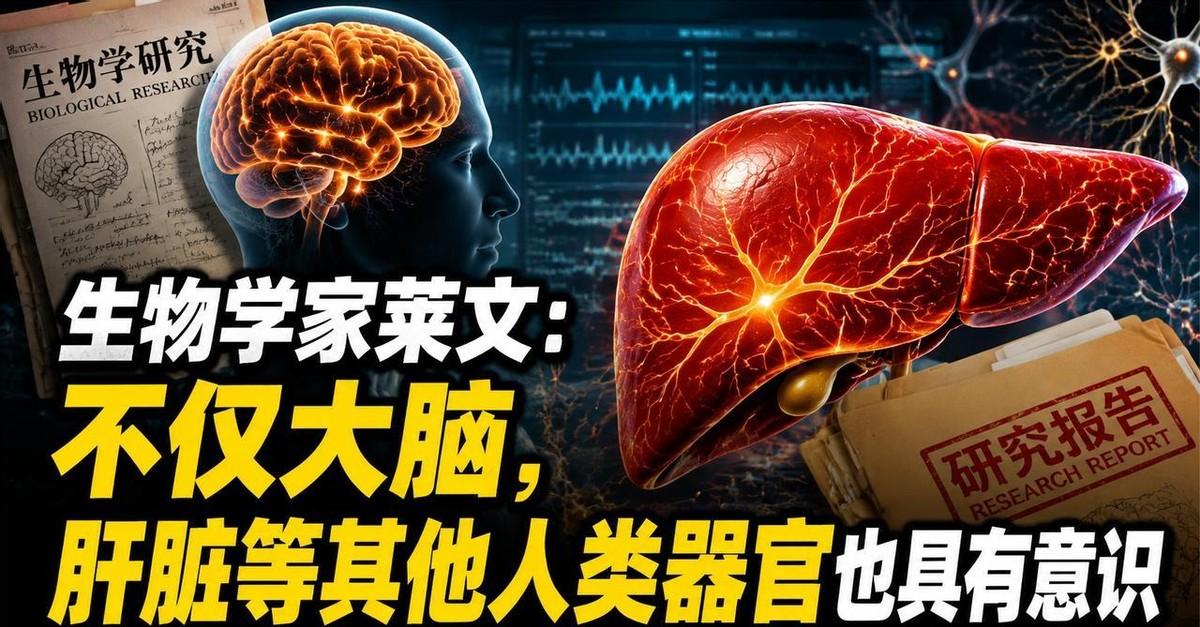 你可能一直以为，意识只是大脑的特权。但最新的科学发现正在动摇这一观念：从肝脏到心