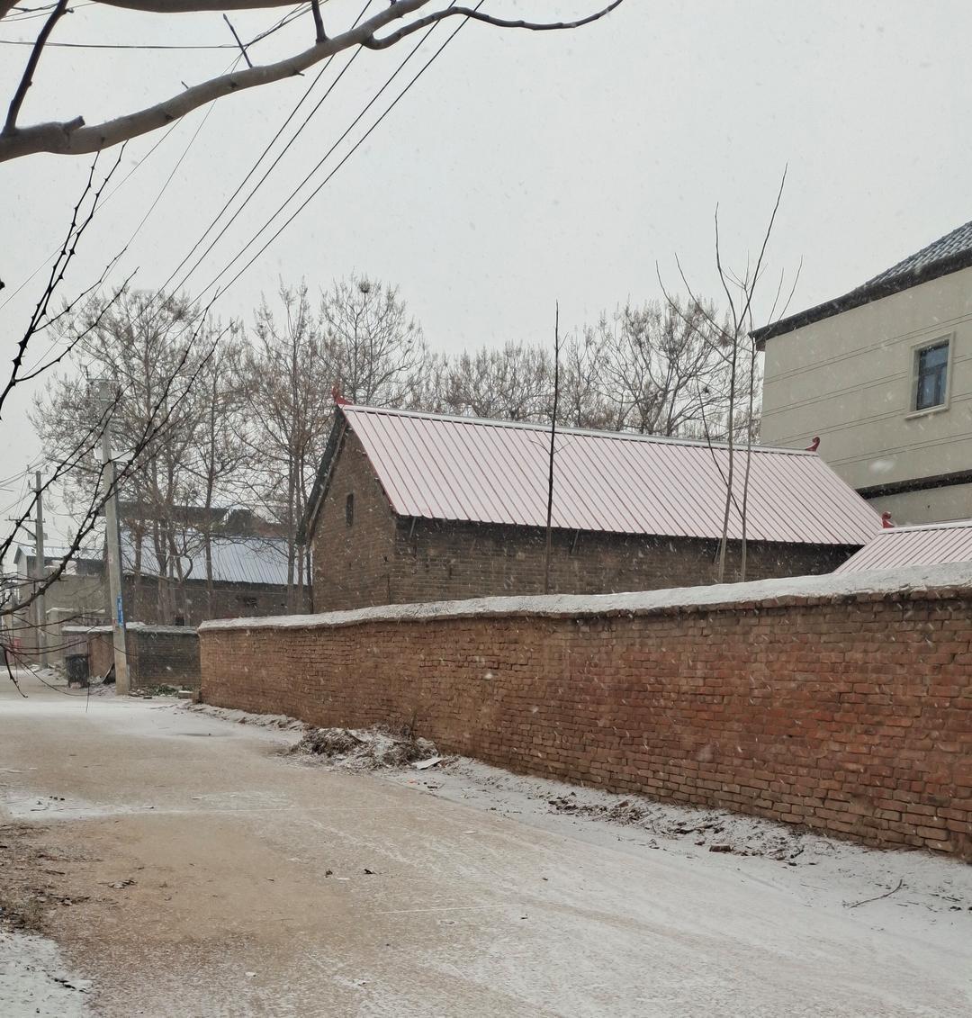 我同学的姐姐，4岁时发烧脑子烧坏了，长到十七八岁，智力还是五六岁的样子。父母担心