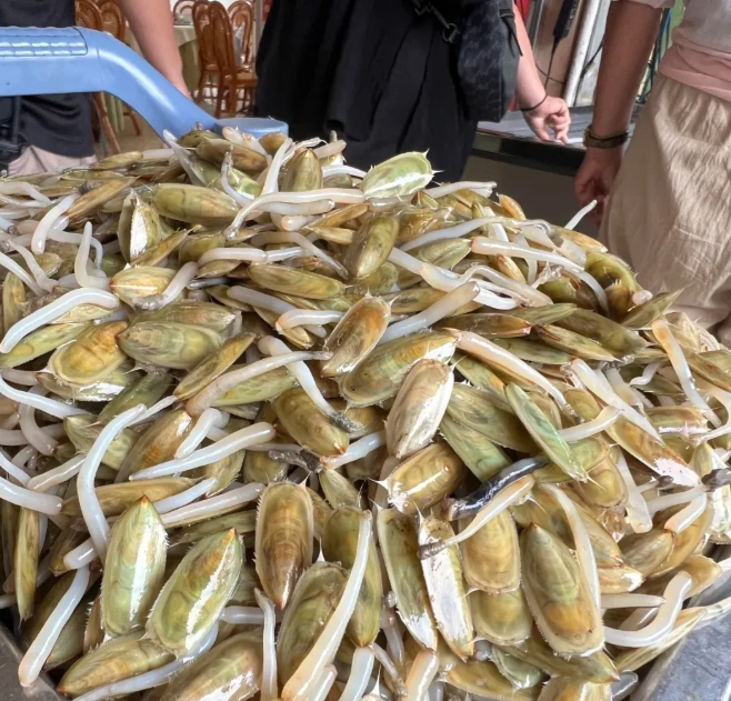 你们知道这个是什么美食吗，今天一大早，我朋友送来的，我也不知道是用来煮汤还是炒来