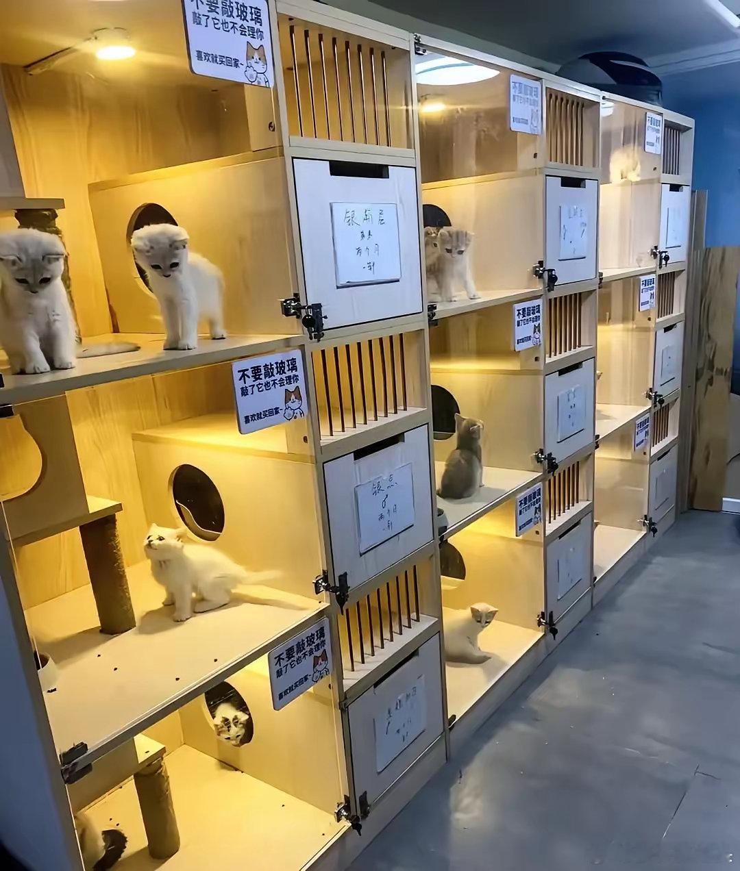 猜一万次也没想到，受三亚被蛇咬事件影响最大的，不是女方的男朋友，也不是三亚的医院