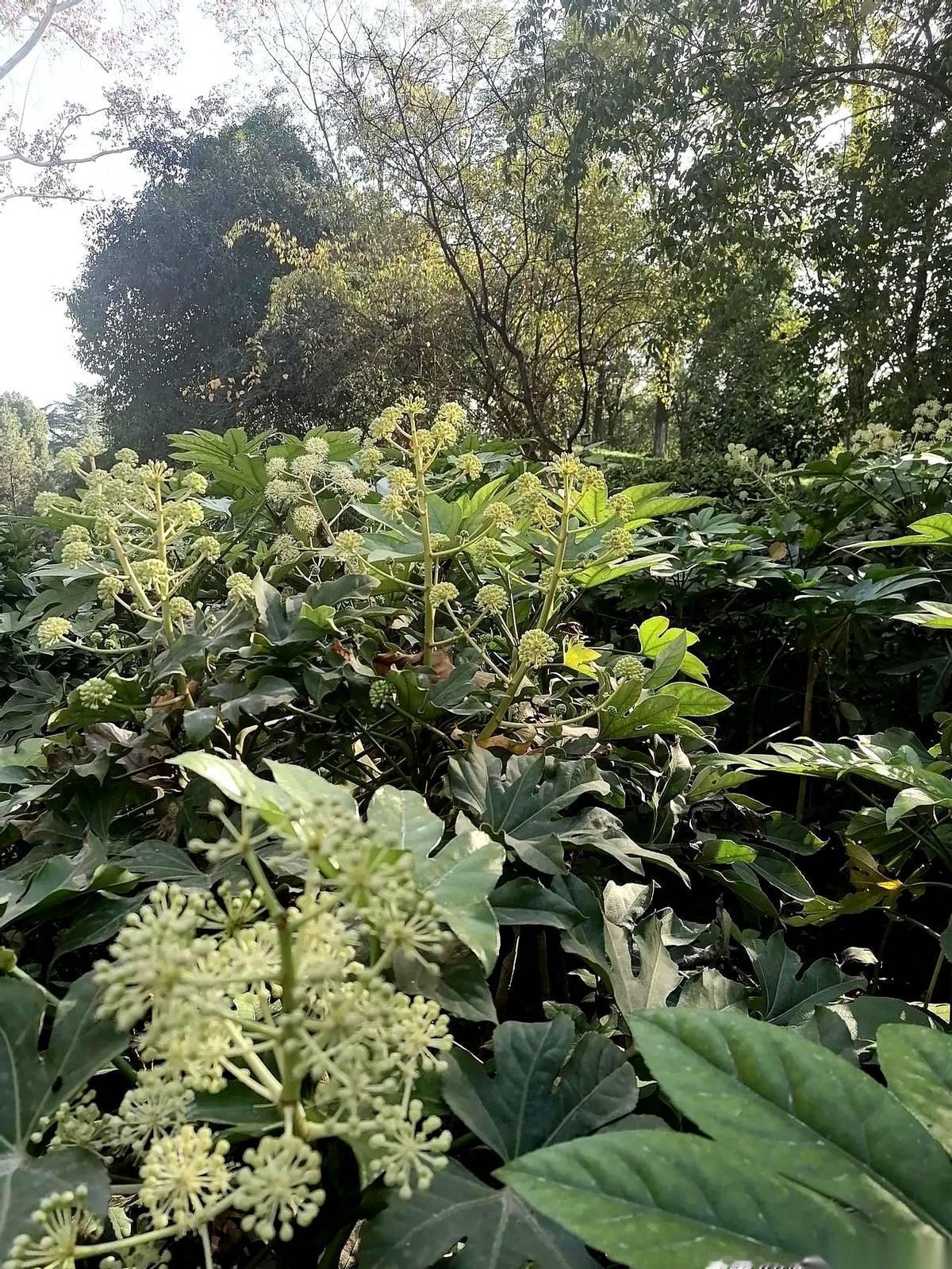 真有人为了个江浙沪的双非，放弃兰州大学的。我听了都替他家孩子捏把汗。你知不知