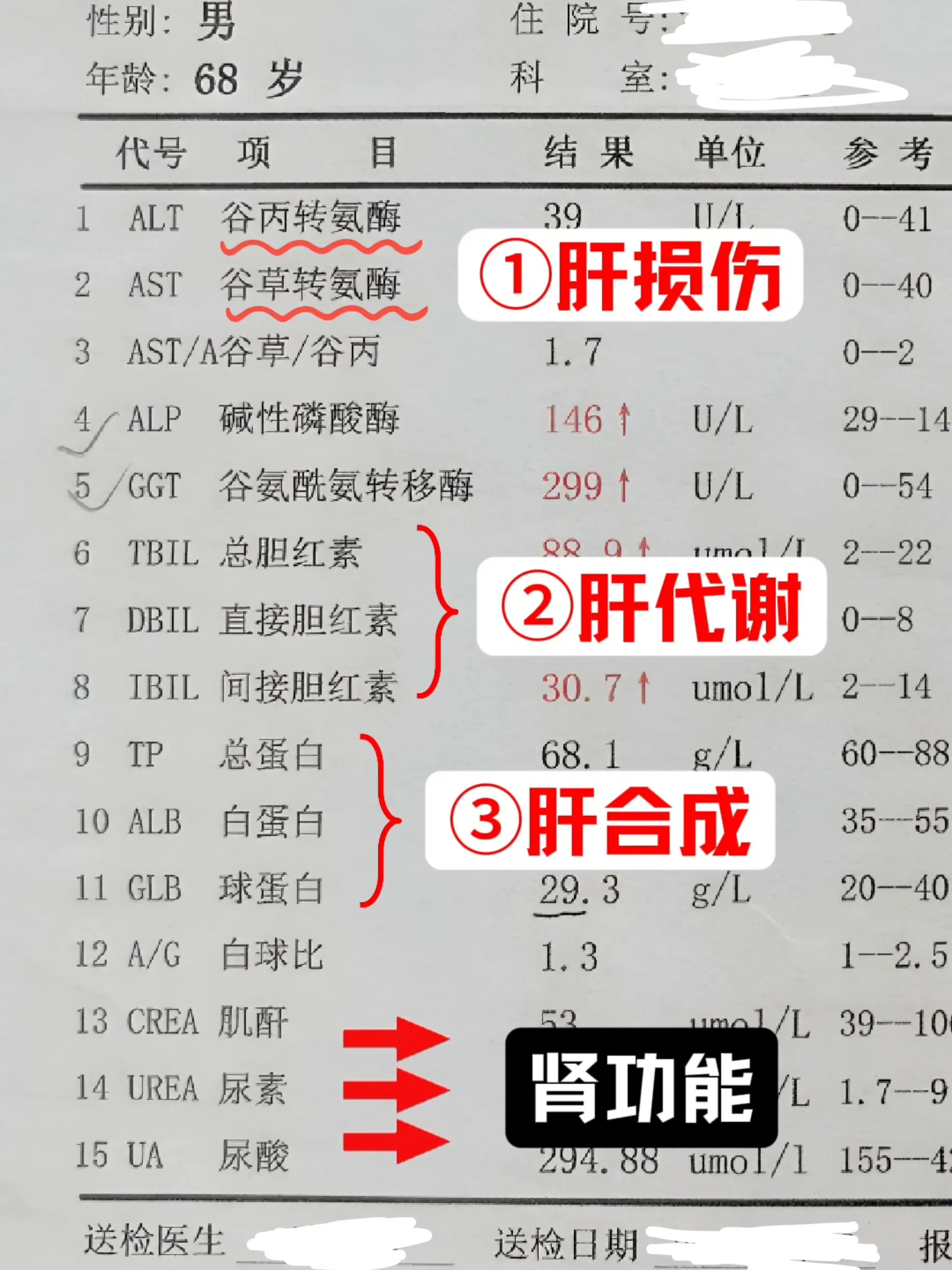 肝功检查为何有肾功能指标？很多人体检只关注肝脏，不解为何肝功套餐会附带...