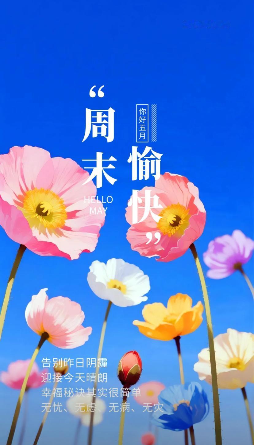 夏晨问安，夏风送暖人心顺，安日常欢福自来。2026./5.16.[玫