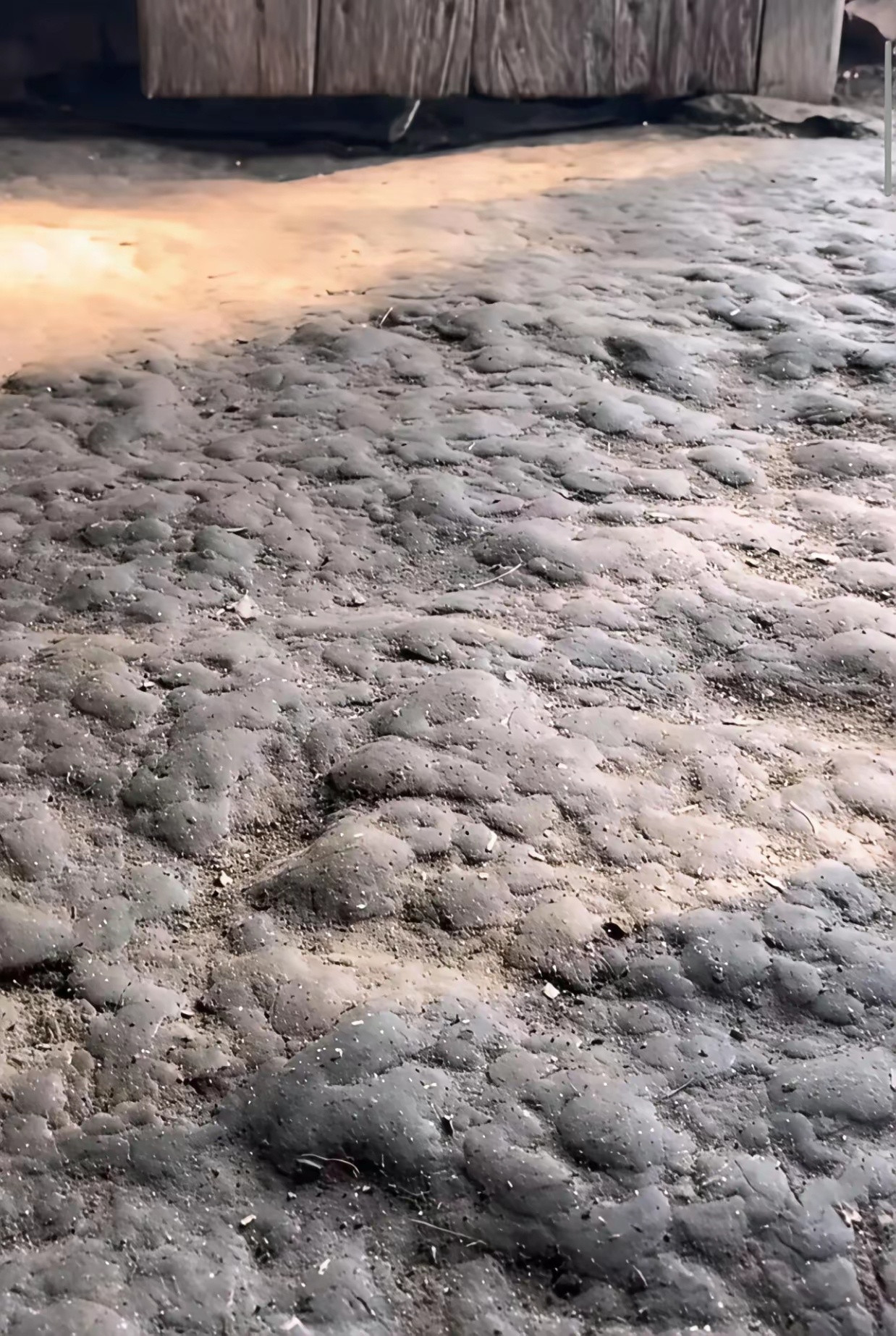 有人在这样的家里长大的吗？