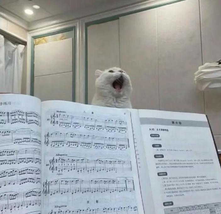 风在吼马在叫小猫要睡觉小猫要睡觉