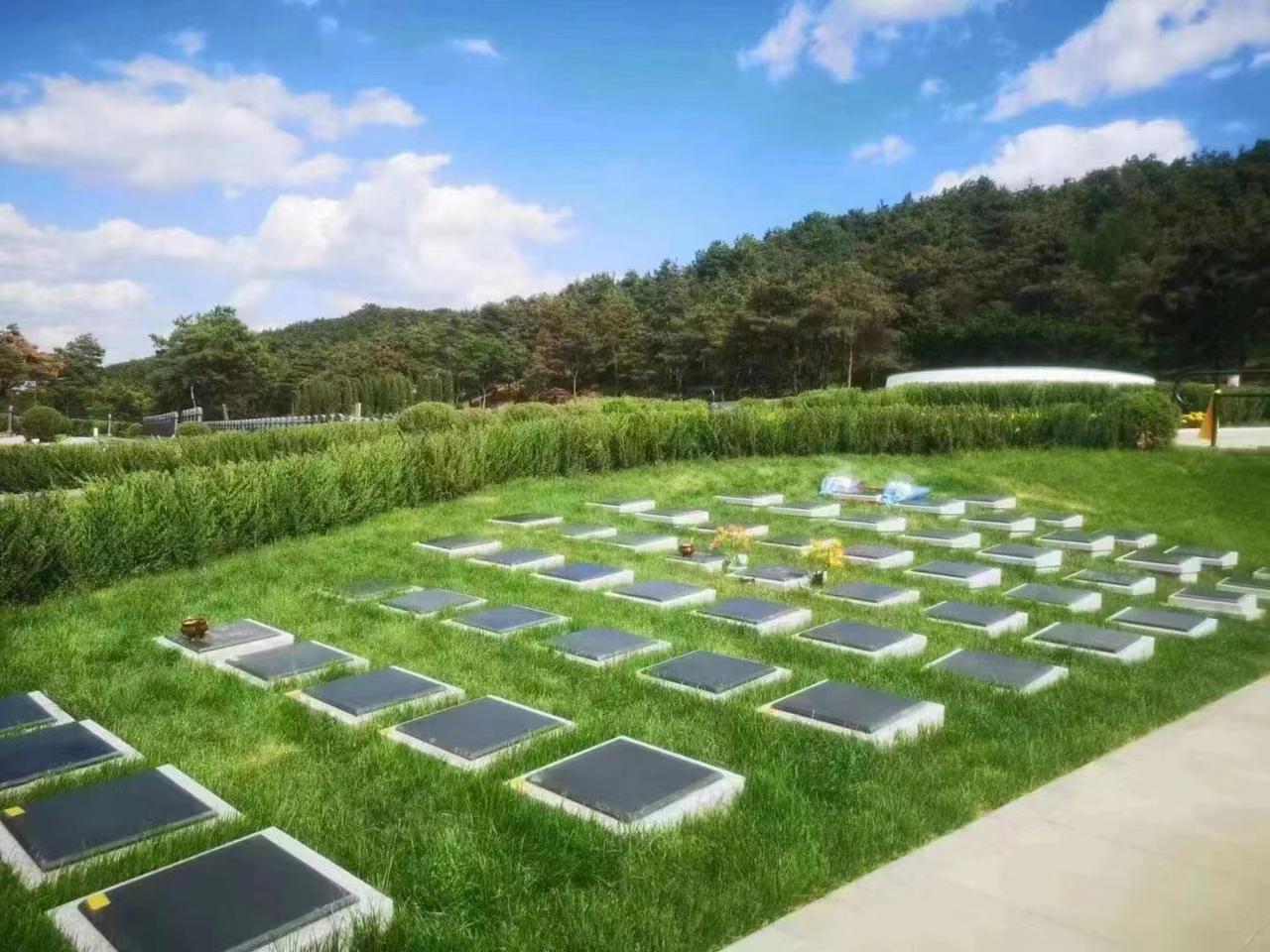 我表妹是卖墓地的，她跟我说：其实最让人心寒的，并不是墓地有多贵，而是活人在逝