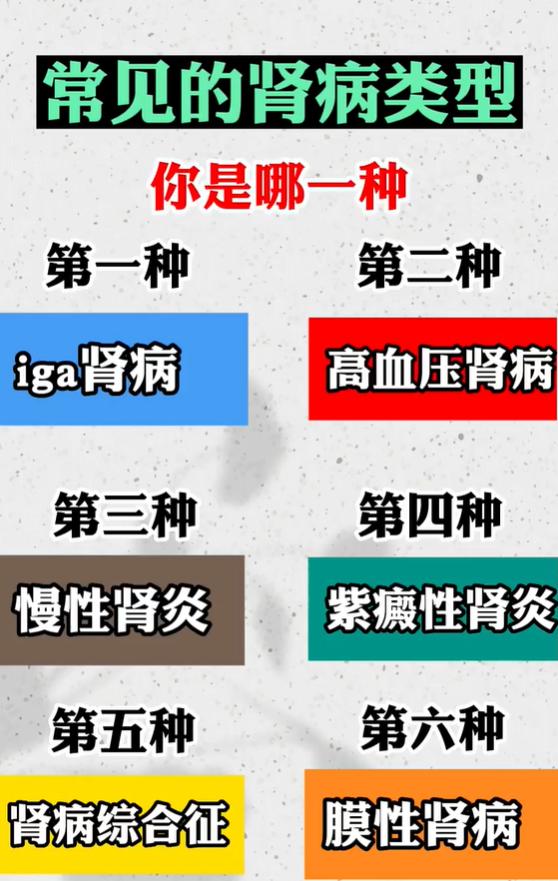 肾病分6大类型，看看你属于哪一种？