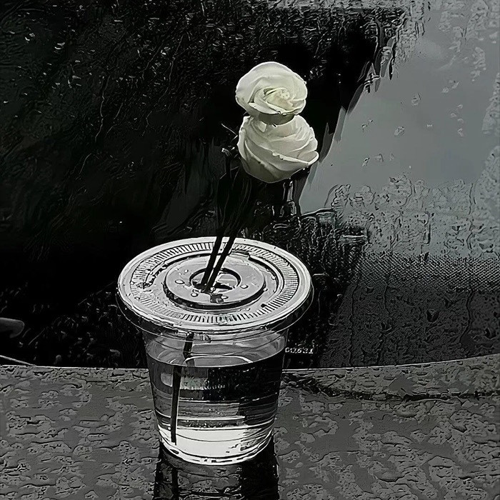 个性小众高级感黑色头像壁纸高级感/头像壁纸/风景/彩虹/雨后/大海