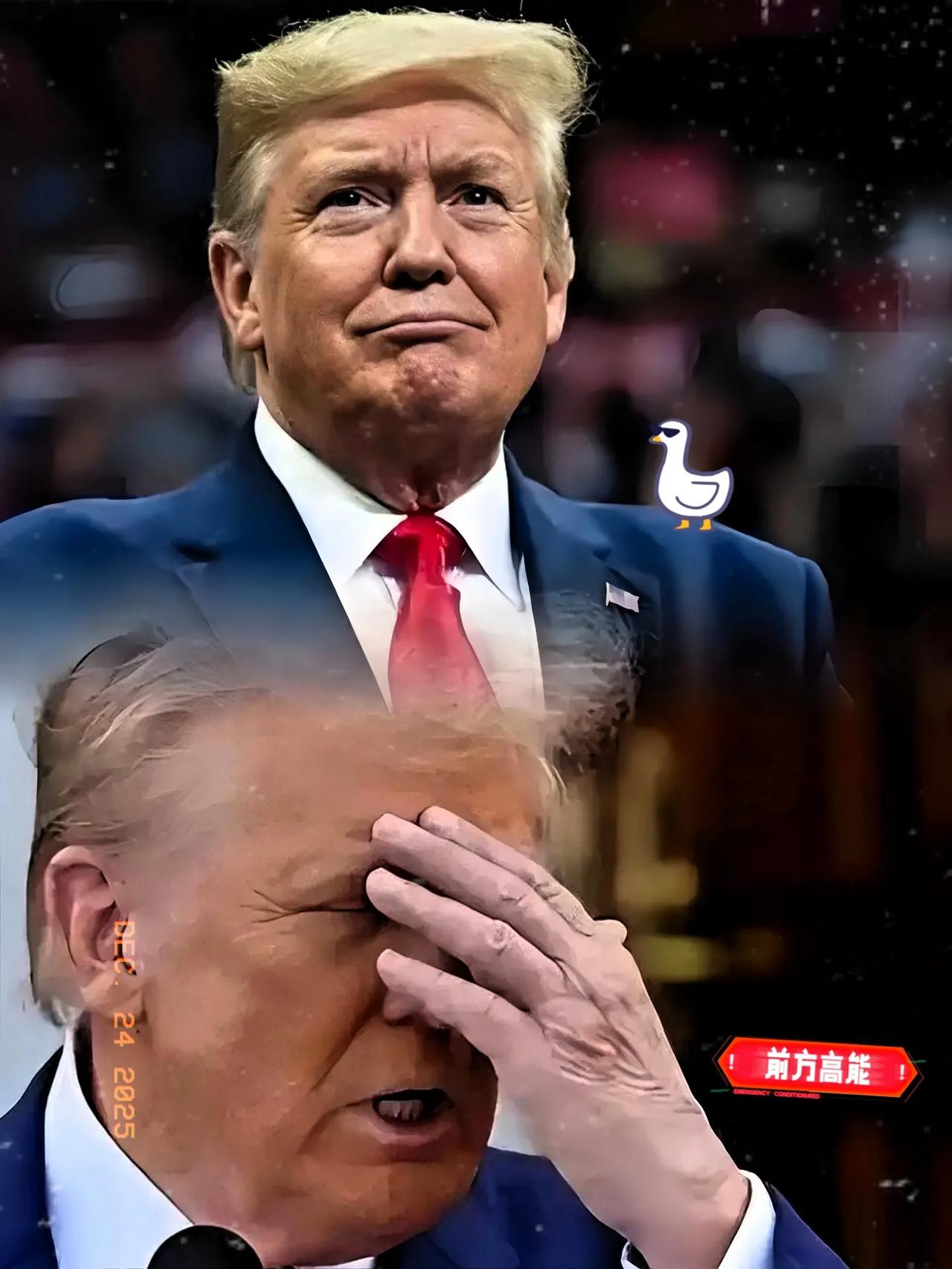 这回熊猫是真的动真格了！今天上午，北京相关部门放出重磅消息，宣布对一众向相关